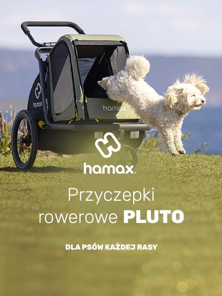 Hamax Pluto