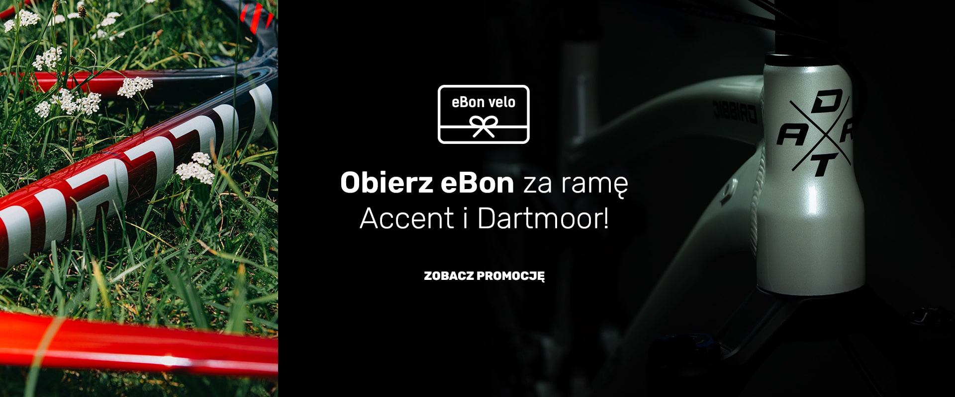 Kasa wraca | Odbierz eBon za ramę