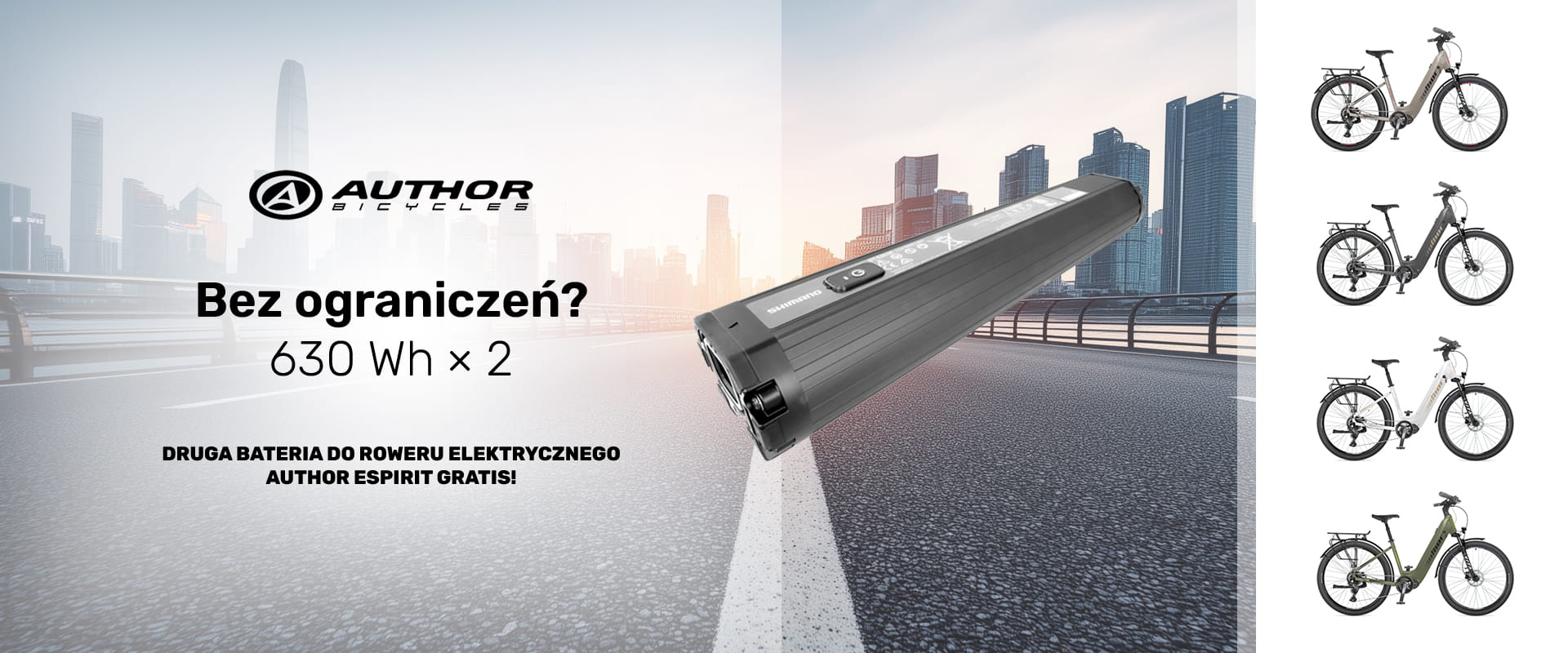 Druga bateria do Author ESpirit